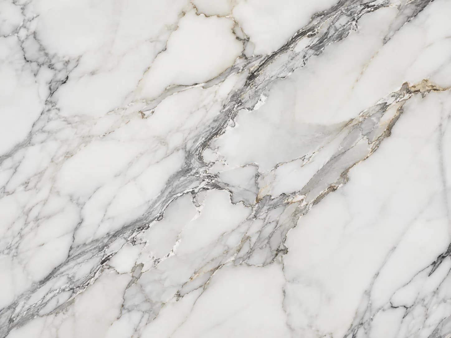 Calacatta / Carrara material macro