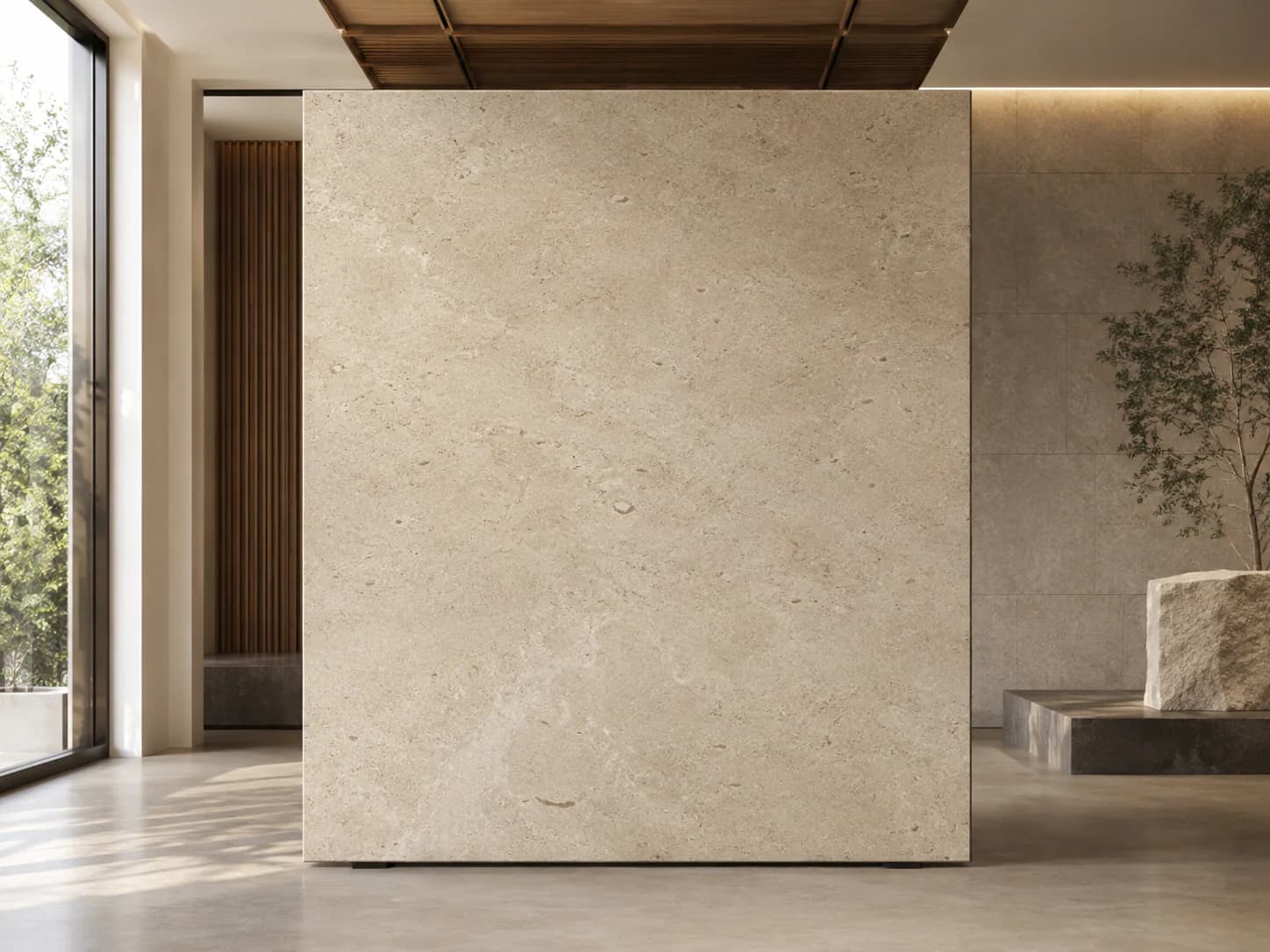 Limestone full surface view